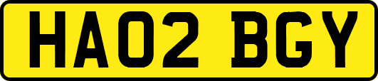 HA02BGY