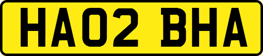 HA02BHA