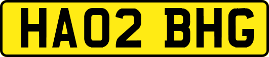 HA02BHG