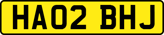 HA02BHJ