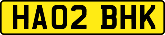 HA02BHK