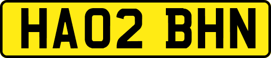 HA02BHN