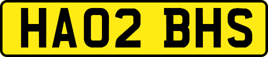 HA02BHS