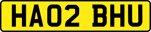 HA02BHU
