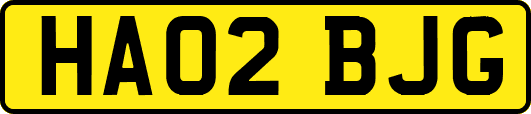 HA02BJG
