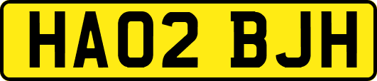 HA02BJH