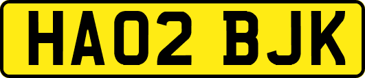 HA02BJK