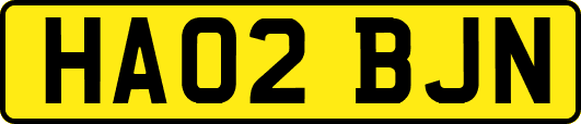 HA02BJN