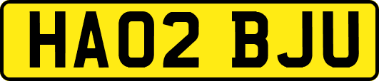 HA02BJU