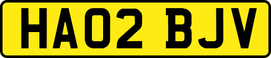 HA02BJV