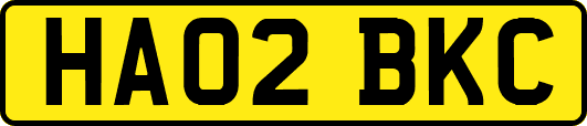 HA02BKC