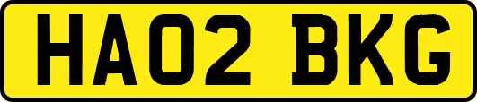 HA02BKG