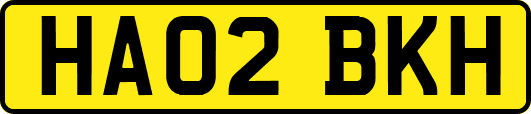 HA02BKH