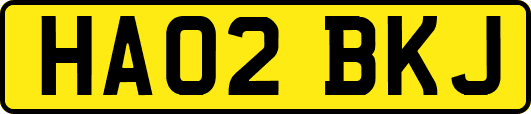 HA02BKJ