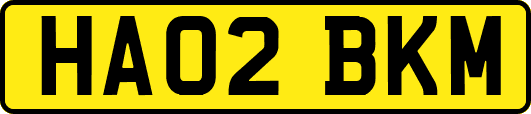 HA02BKM
