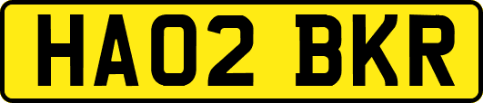 HA02BKR