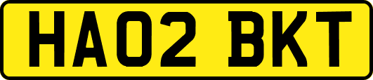 HA02BKT