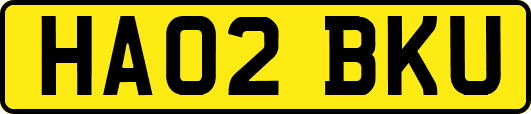 HA02BKU