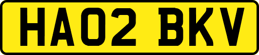 HA02BKV