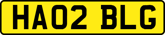 HA02BLG