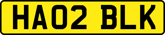 HA02BLK