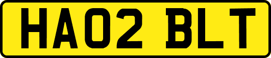 HA02BLT