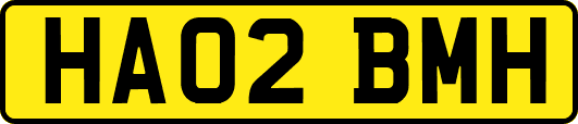 HA02BMH