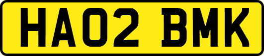 HA02BMK