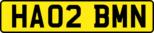 HA02BMN