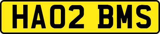 HA02BMS