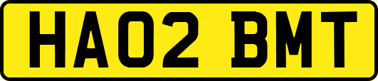 HA02BMT