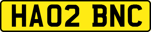 HA02BNC