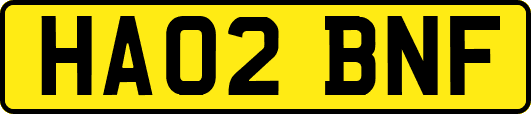 HA02BNF