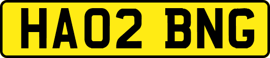 HA02BNG