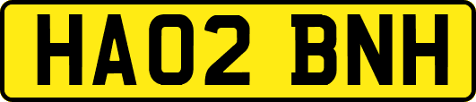 HA02BNH