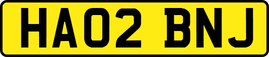 HA02BNJ