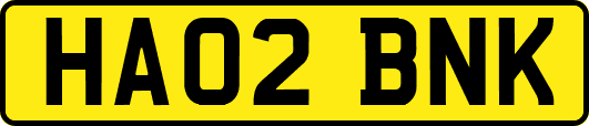HA02BNK