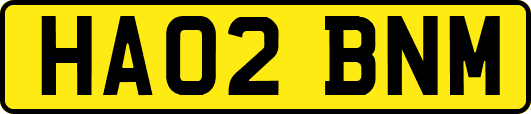 HA02BNM