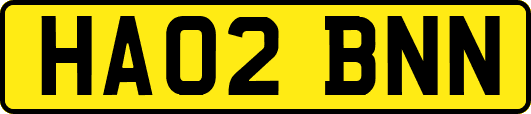 HA02BNN