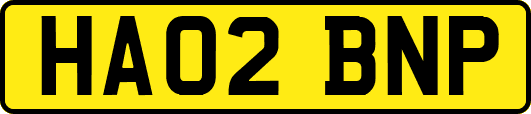 HA02BNP