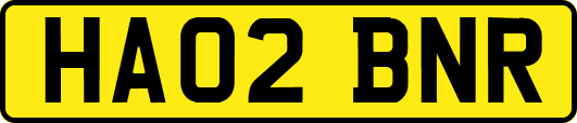 HA02BNR