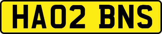 HA02BNS