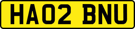 HA02BNU