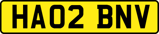 HA02BNV