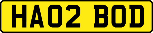 HA02BOD