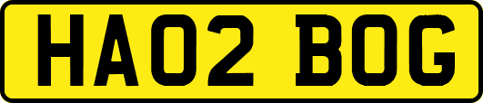 HA02BOG