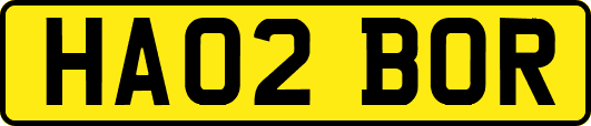 HA02BOR