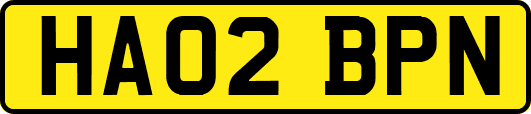HA02BPN