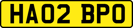 HA02BPO