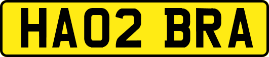 HA02BRA